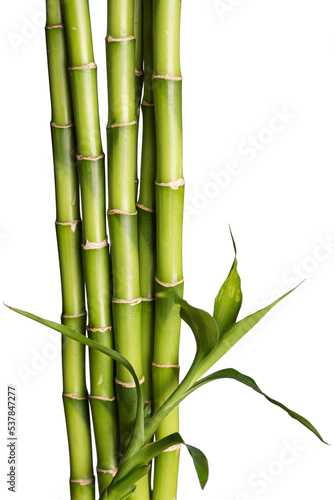 Many bamboo stalks  on background © BillionPhotos.com