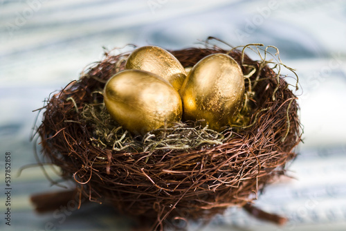 Three Golden Eggs in a birds nest on U.S. currency.