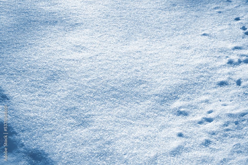 Background. Winter landscape. The texture of the snow Background. Winter landscape. The texture of the snow
