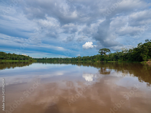Fototapeta Naklejka Na Ścianę i Meble -  Amazonia