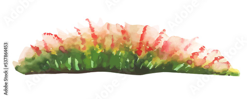 Red flowers on green bush watercolor painting element © Monica