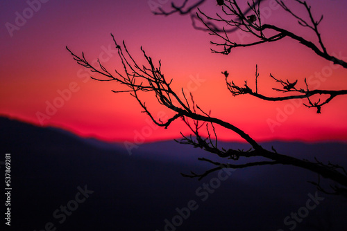 Silhouettes of branches and mountains in sunset colours