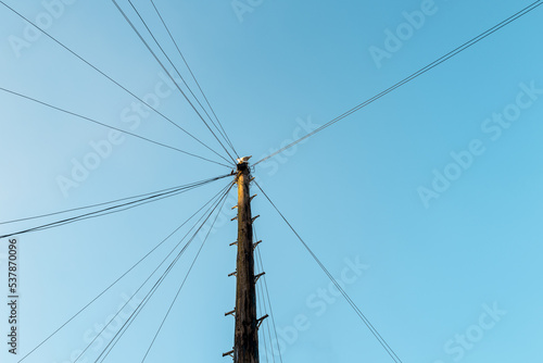 Abstract view of telephone wires connecting to a single wooden telegraph pole with a large bird sitting on the top in early sunset.