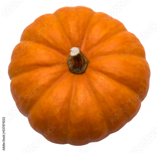 pumpkin isolated transparent background