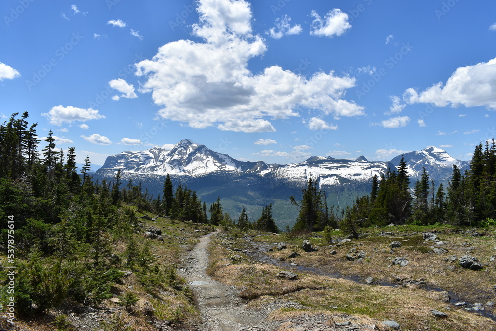 Fototapeta premium Nature