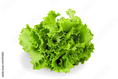 Fresh green salad on White Background
