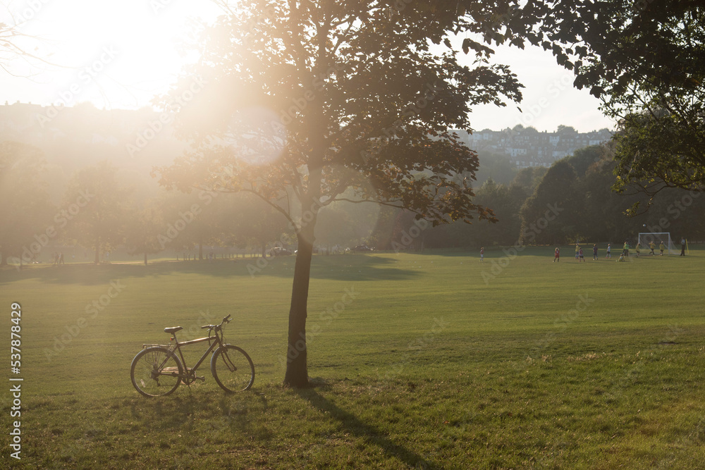 Bicycle next to a tree at sunset Bicycle next to a tree at sunset