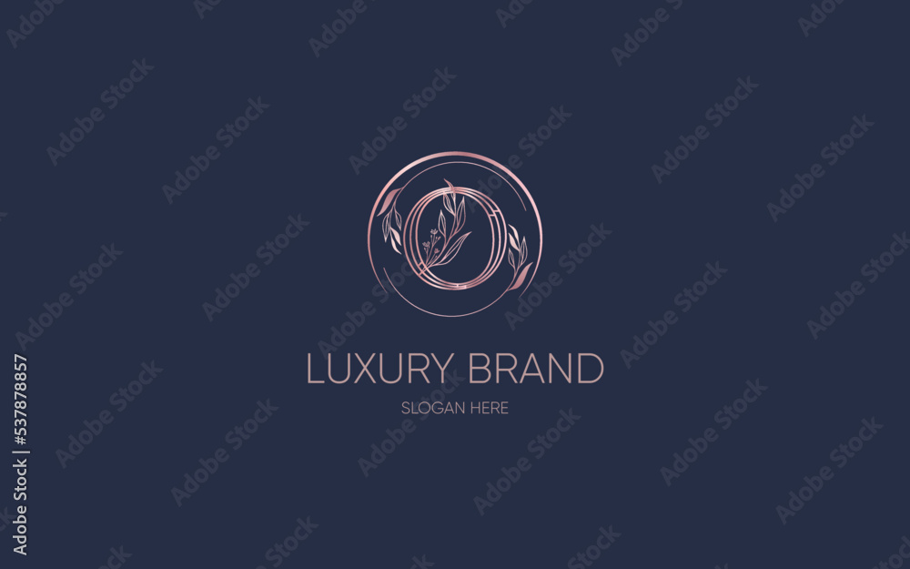 Fototapeta premium initial letter logo vector design