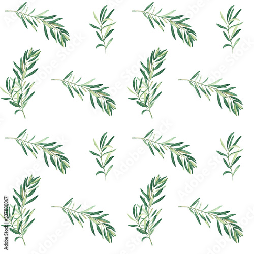 Watercolor seamless pattern with olive branches on a white background. Can be used for textile, wallpaper prints, kitchen, food and cosmetic design.