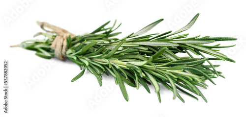 Rosemary herb  leaves on white wooden background