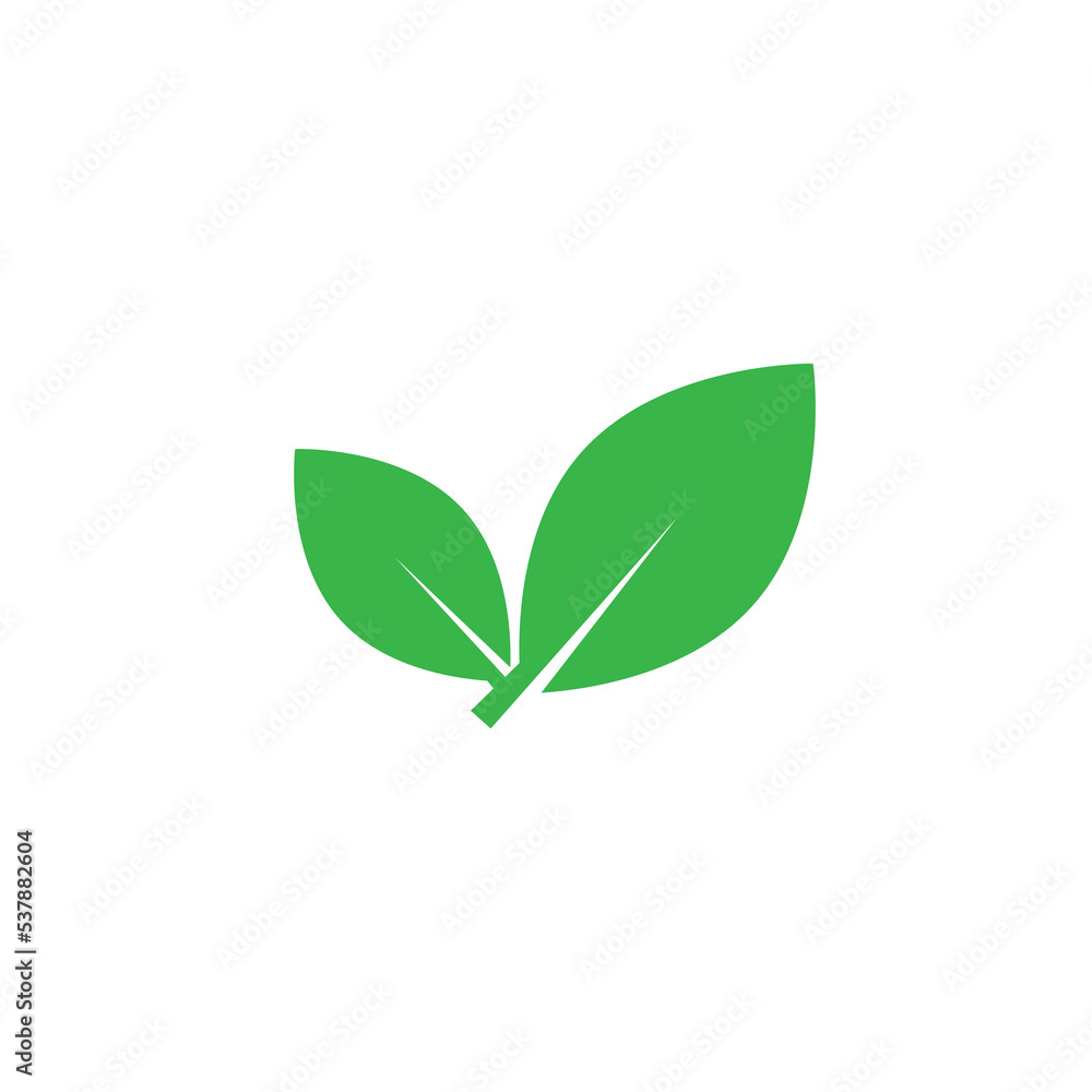 Leaf Icon Design Vector Template Illustration