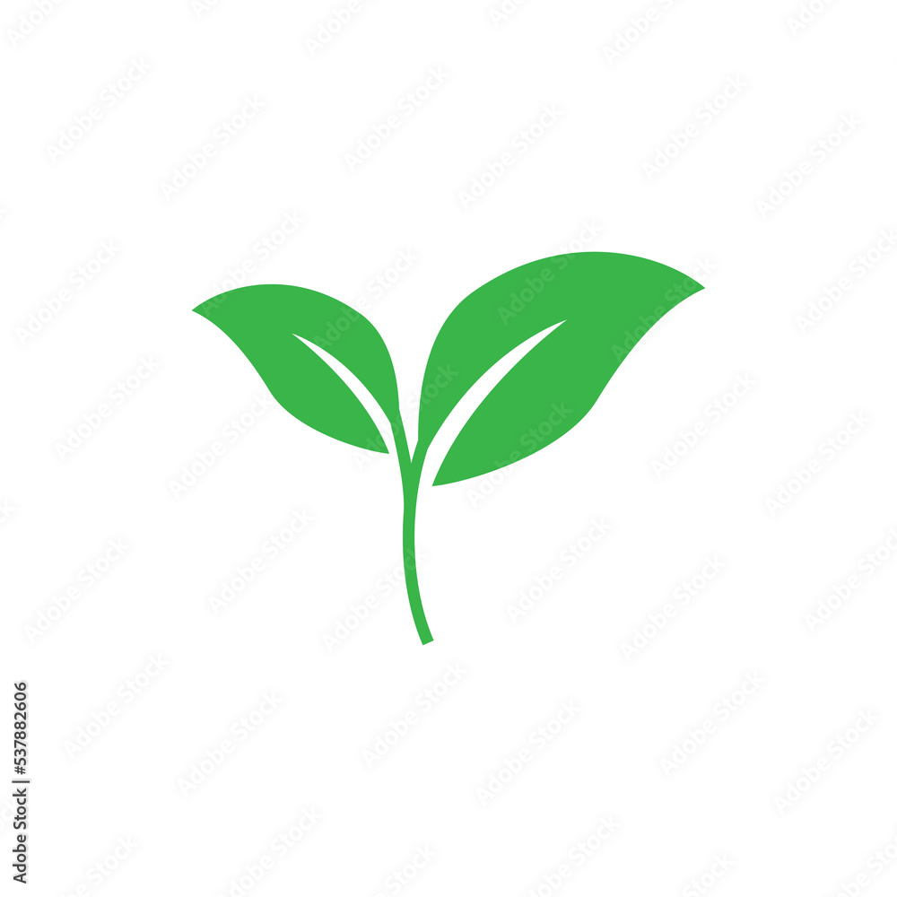 Leaf Icon Design Vector Template Illustration Leaf Icon Design Vector Template Illustration