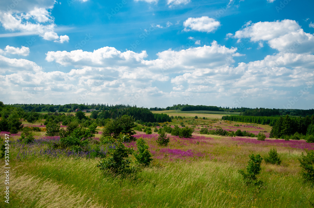 Scenery panoramic view of meadow with trees in Denmark Scenery panoramic view of meadow with trees in Denmark