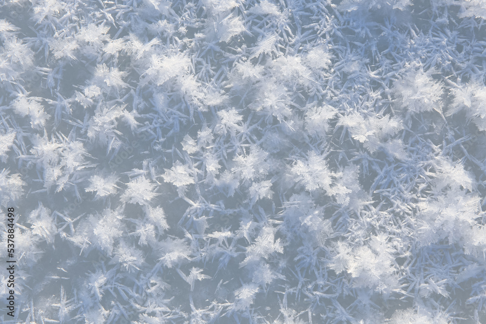 Fototapeta premium texture of cold winter snow