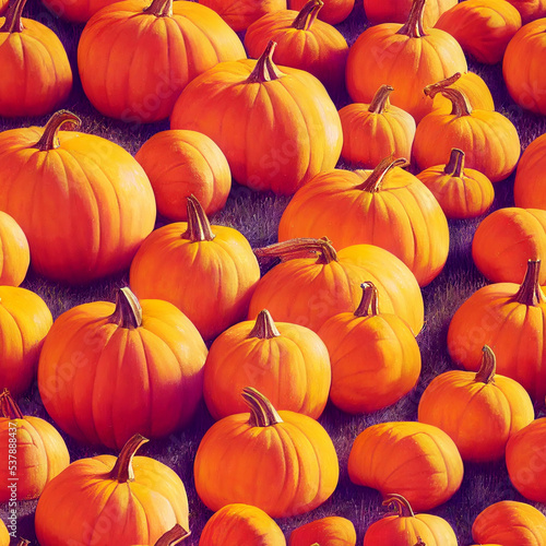 pumpkin harvest   seamless pattern