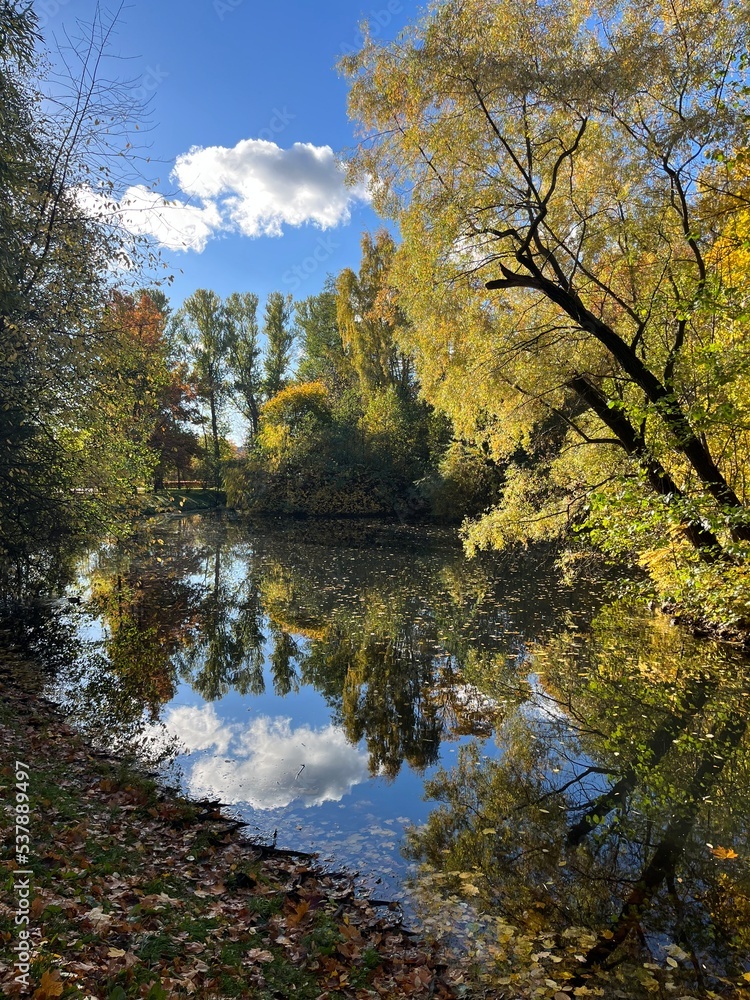 autumn pond in the park, falling leaves on the pond surface autumn pond in the park, falling leaves on the pond surface
