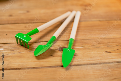 Tool for transplanting houseplants. shovel rake