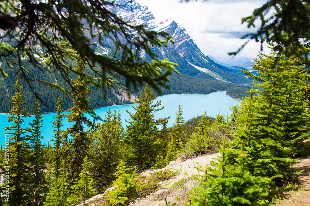 Peyto Lake seen from Bow Summit in Banff National Park