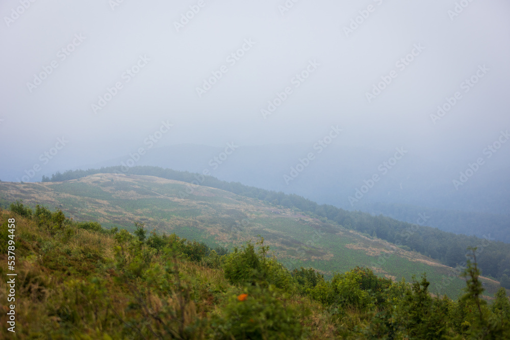 Bieszczady meadows covered with fog Bieszczady meadows covered with fog