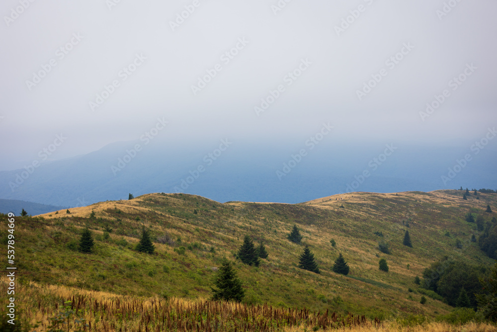 Bieszczady meadows covered with fog Bieszczady meadows covered with fog