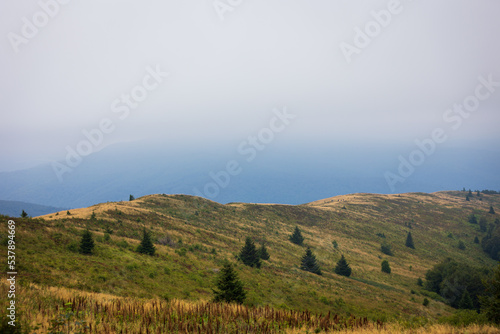 Bieszczady meadows covered with fog