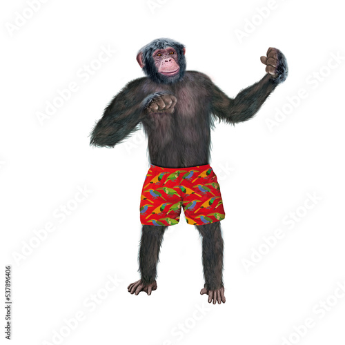 chimpanzé, attitude, mouvement, gesticule, tropique, en short rouge, habillé, debout, singe, expression, mammifère, jardin zoologique, illustration, animal, fourrure, bonobo, nature, sauvage, faune, d