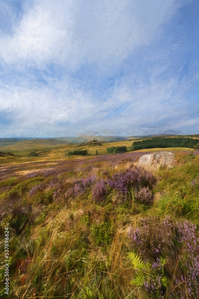 Digital rural landscape painting of Purple heather at Gib Torr, The Roaches, Peak District National Park.