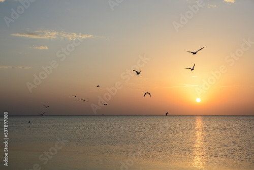 birds flying over red sea at sunrise © Martin