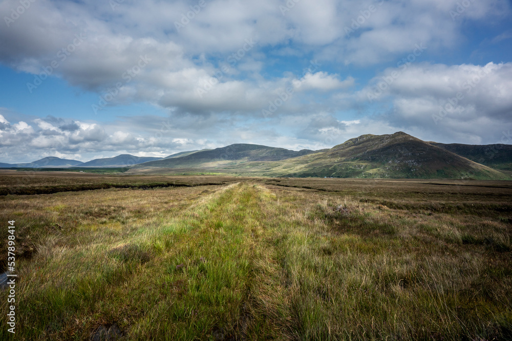 Peatlands near lough Gar in summer. Co. Mayo, Ireland. Wild Nephin Mountains at the horizon.