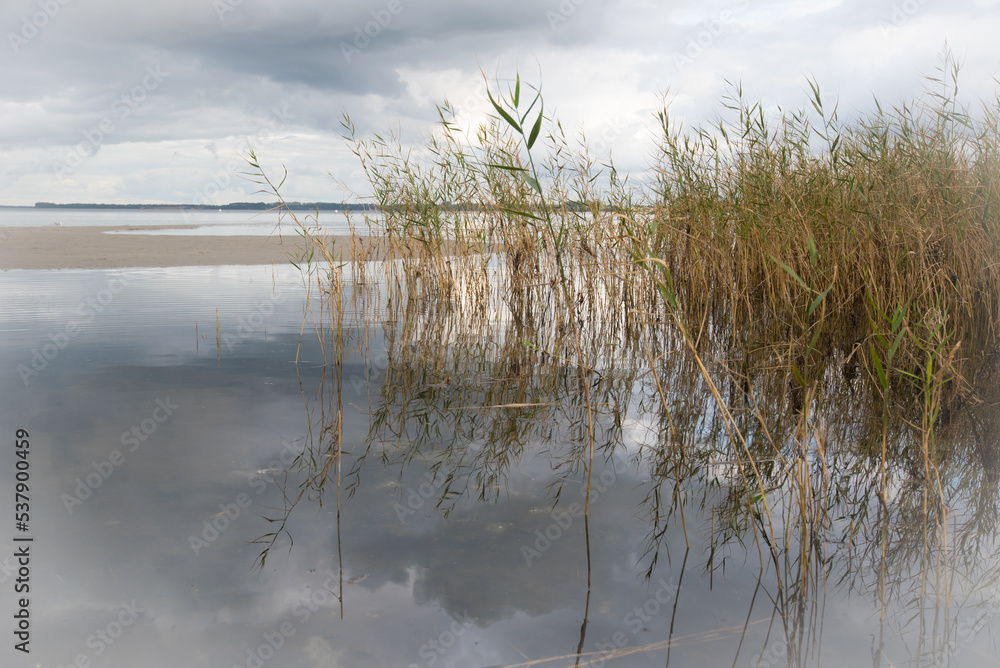 Coastline at Baltic Sea in Mecklenburg-Vorpommern, Western Pomerania, Germany. Near Boltenhagen, Coastline at Baltic Sea in Mecklenburg-Vorpommern, Western Pomerania, Germany. Near Boltenhagen,
