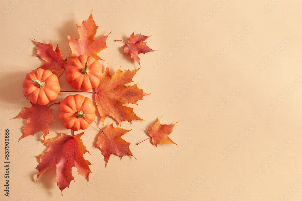 Flat lay frame with colorful autumn leaves and pumpkins on an orange background Flat lay frame with colorful autumn leaves and pumpkins on an orange background