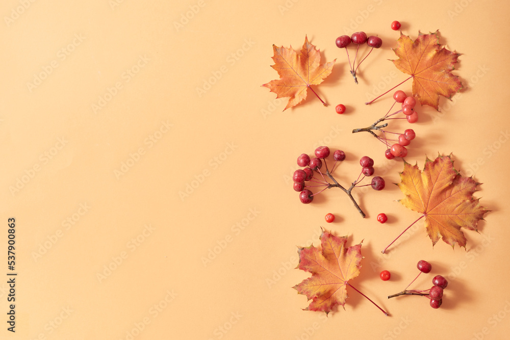 Flat lay frame with colorful autumn leaves and berries on an orange background Flat lay frame with colorful autumn leaves and berries on an orange background