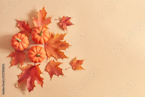 Flat lay frame with colorful autumn leaves and pumpkins on an orange background