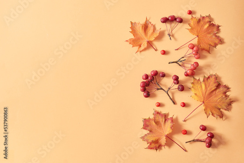 Flat lay frame with colorful autumn leaves and berries on an orange background