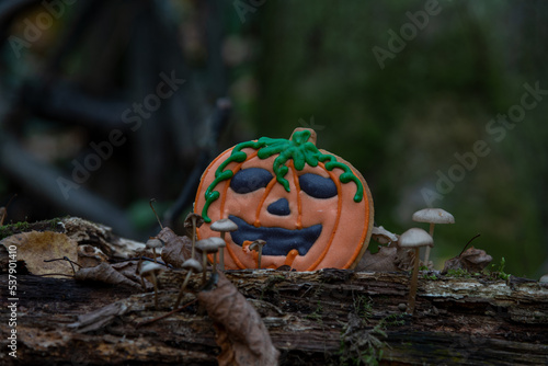 Orange pumpkin shaped Halloween cookie with Jack O'Lantern face stands by toadstools on fallen tree in dark autumn forest. Selective focus. Close-up view. Holiday food theme.