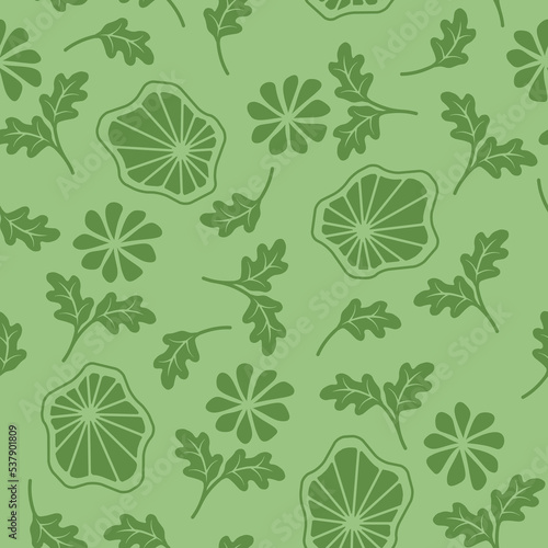 Seamless patterns, Set of floral design elements. Beautiful for print textile and background. Vector illustration