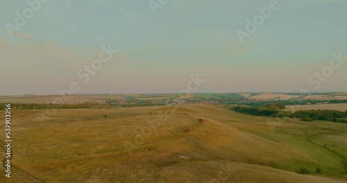 Wallpaper Mural Copter flies over the expanses of fields and rural lands. Beautiful rural landscape, rich grain harvest, wheat fields and meadows. 4k, ProRes Torontodigital.ca