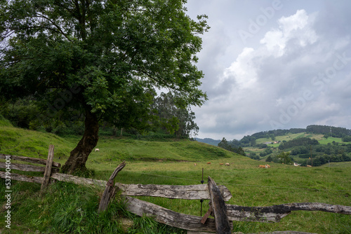 Countryside view in Llanera, Asturias