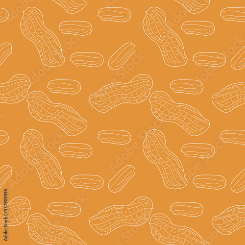 Seamless pattern Peanut in linear style. Hand drawn Peanut seamless pattern. vector eps10