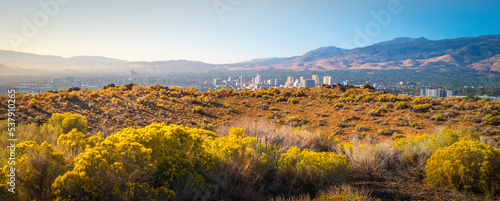 Reno autumn city skyline over Nuttall’s Rayless-Goldenrod flowers and arid desert hill in the state capital of Nevada, aerial view over the wild plants valley