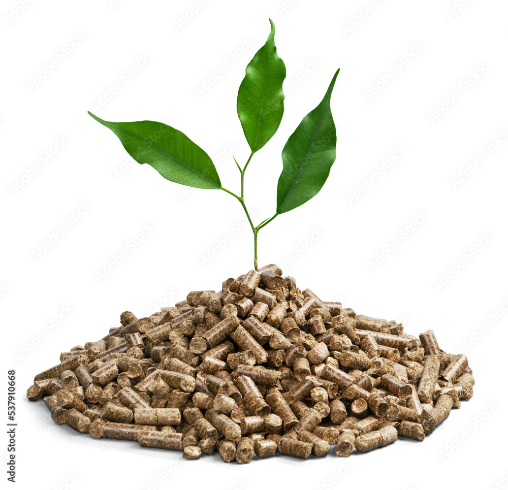 Obraz premium Pellet fuel with a plant growing out of it - isolated image