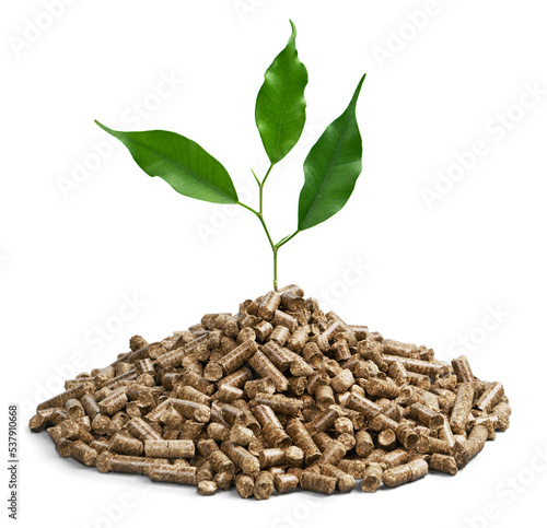 Pellet fuel with a plant growing out of it - isolated image