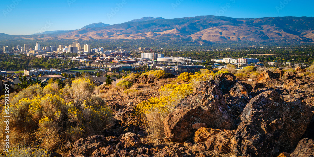 Reno autumn city skyline over Nuttall’s Rayless-Goldenrod flowers and red rock hill in the state capital of Nevada, aerial view of the arid landscape of the desert city