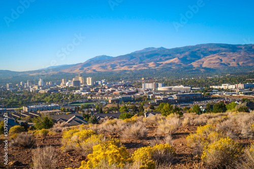 Reno autumn city skyline over Nuttall   s Rayless-Goldenrod flowers and red rock hill in the state capital of Nevada  aerial view of the arid landscape of the desert city