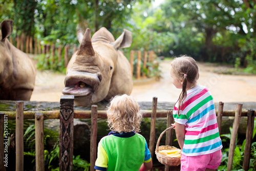 Kids feed rhino in zoo. Family at animal park.