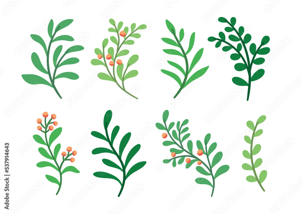 Set of vector botanical digital elements. Hand drawn illustration with leaves and plants. Floral ornaments for card, logo design, print fashion. Set of vector botanical digital elements. Hand drawn illustration with leaves and plants. Floral ornaments for card, logo design, print fashion.