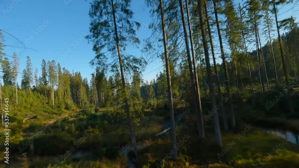 Fast flight over an autumn mountain landscape, stream, trees at sunrise Fast flight over an autumn mountain landscape, stream, trees at sunrise