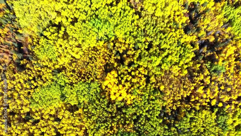 The remarkable, stunning, autumn, fall landscape of Yukon Territory in Northern Canada. Drone, aerial woods, lake shot. The remarkable, stunning, autumn, fall landscape of Yukon Territory in Northern Canada. Drone, aerial woods, lake shot.
