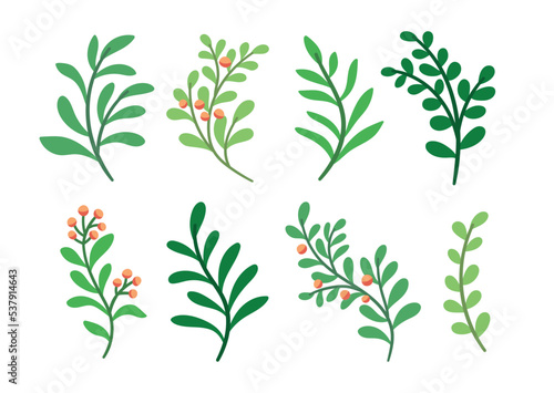 Set of vector botanical digital elements. Hand drawn illustration with leaves and plants.  Floral ornaments for card, logo design, print fashion.