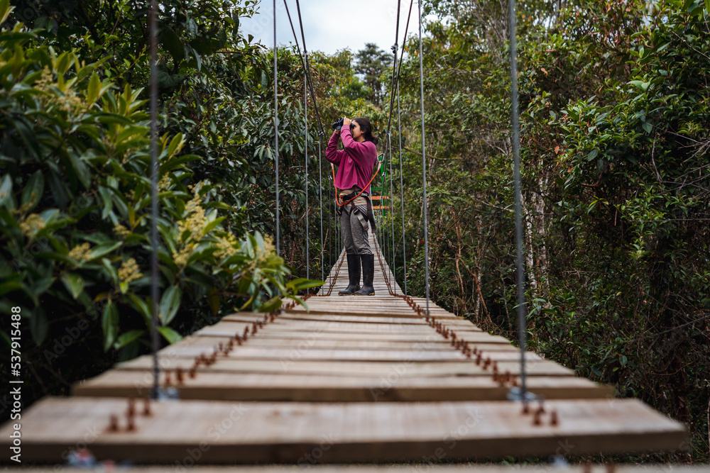 Woman Walking Through A Hanging Bridge Woman Walking Through A Hanging Bridge